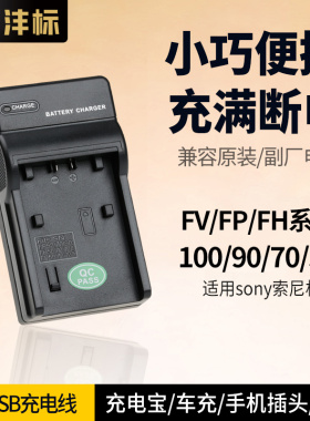 沣标适用sony索尼dv充电器FV FH FP 50 60 70 90 100 A相机电池座充XR550E AX45 VG30 CX680 PJ820E AX40配件