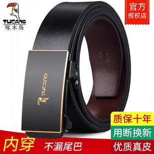 腰带真皮 商务裤 啄木鸟男士 皮带无牙内穿自动扣年轻人潮流牛皮男款