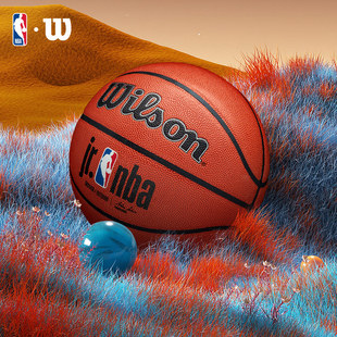 NBA儿童专业训练比赛室内外男女6号7号篮球 Wilson威尔胜官方JR.