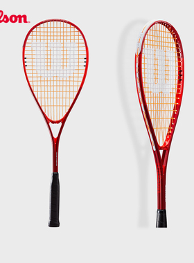 Wilson威尔胜官方专业休闲训练铝合金轻量男女壁球拍PRO STAFF