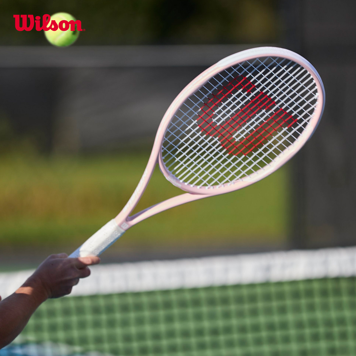 Wilson威尔胜花卉系列全碳素进阶训练成人樱花薰衣草玫瑰网球拍
