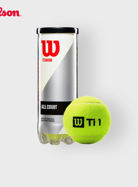 Wilson威尔胜官方网球训练用球3只装组合密封罐装Titanium 3 Ball