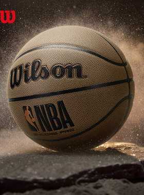 Wilson威尔胜官方25新款NBA吸湿绝尘PRO系列标准7号室内外篮球
