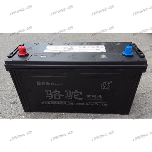 骆驼6-QW-175min发电机启动电池