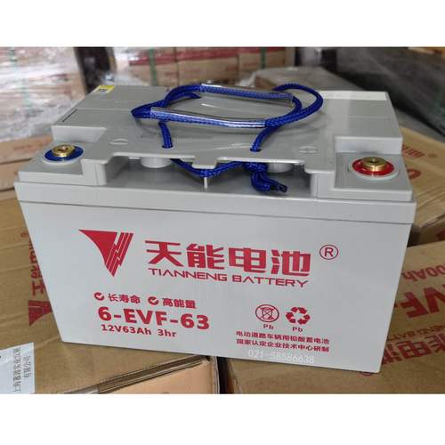 天能6-EVF-63牵引动力电池12V