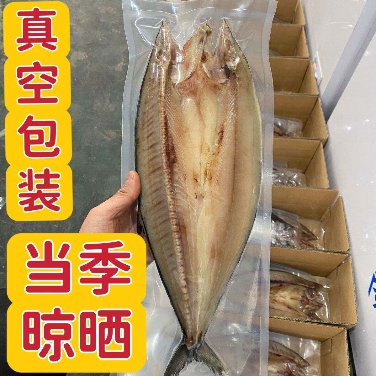 大连当地鲅鱼干一卤鲜燕鲅鱼干马鲛鱼自晒咸鲅鱼干刀鲅鱼海鲜干货