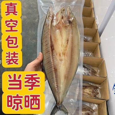 大连特产马鲛鱼干自晒咸鲅鱼干
