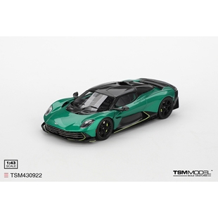 1/43 TSM 阿斯顿马丁Aston 绿色 树脂模型