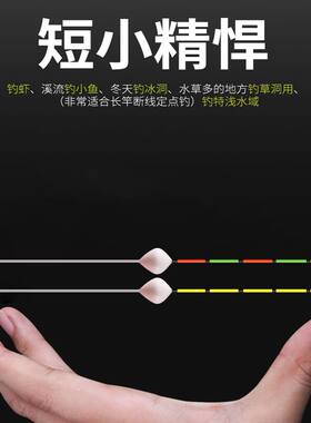 台州立式纳米浮漂长竿鱼漂椒江漂
