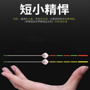 台州立式纳米浮漂浅水漂长竿短线球型漂草洞立漂鱼漂椒江漂冬钓漂