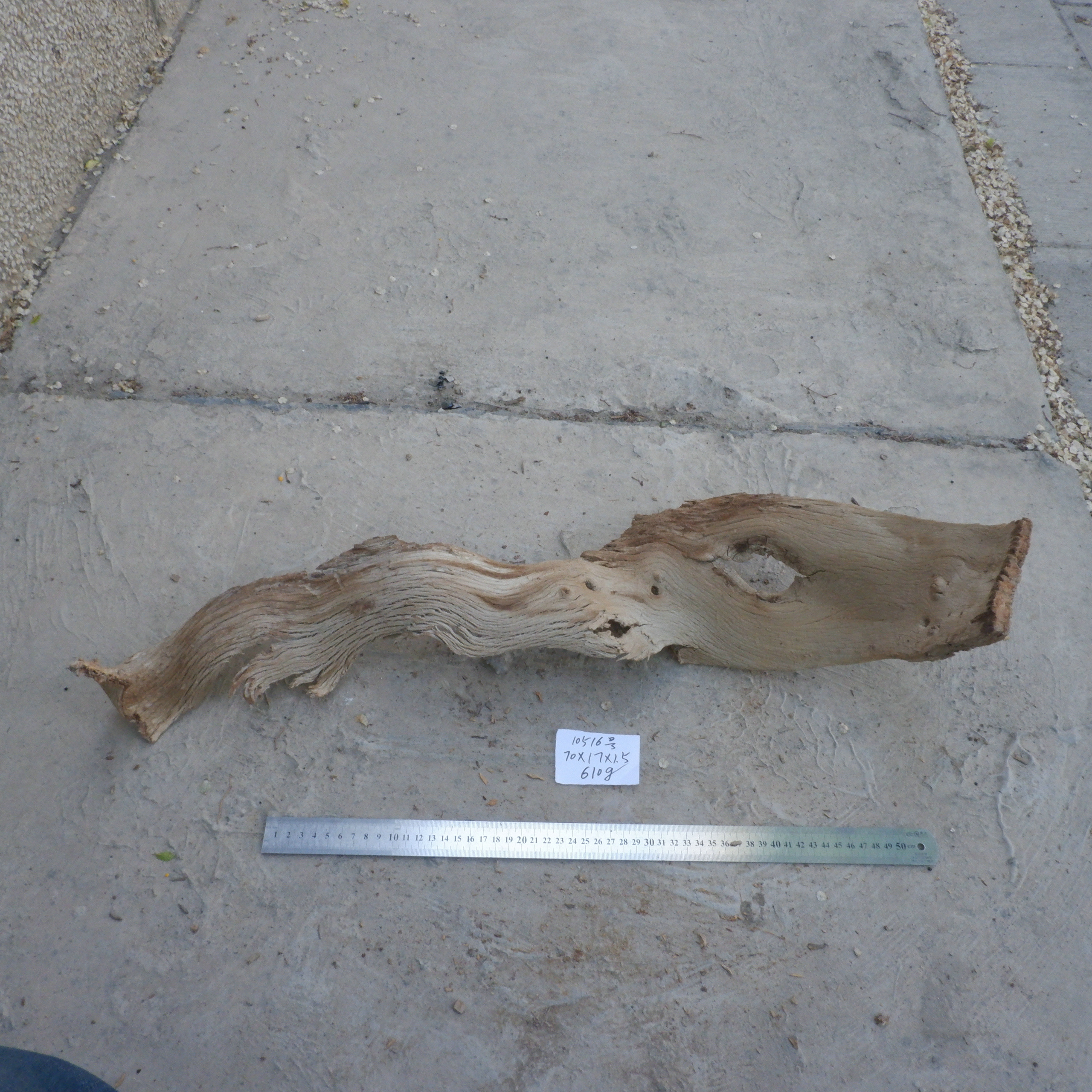 10516号 新疆哈密戈壁风化胡杨木