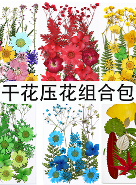 押花材料包组合真干花包