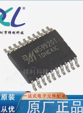 MS9920T MS9920封装TSSOP-20【供应RUIMENG锂电池芯片】全新原装
