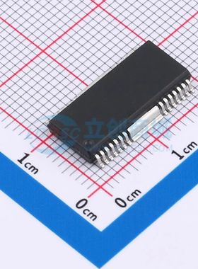 全新原装 CS3820EO HSOP-28 音频功率放大器