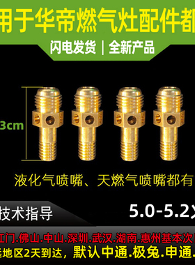 华帝灶气灶喷嘴i10056/i10057/B8301B天然气改液化气改天然气喷嘴
