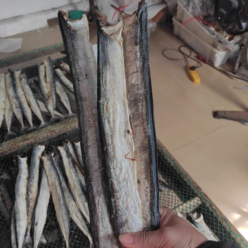 针鱼干北海特产海鲜干货鱼干微咸鱼干大针鱼干中号