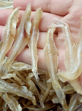 小鱼干无头鱼干白凡鱼微甜公干鱼水晶银鱼干北海特产海鲜干货250g