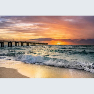 佛罗里达州迈阿密海滩数字油画diy风景客厅填色手工绘装饰减压画