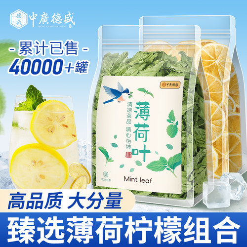 中广德盛薄荷柠檬茶2罐夏日冷泡