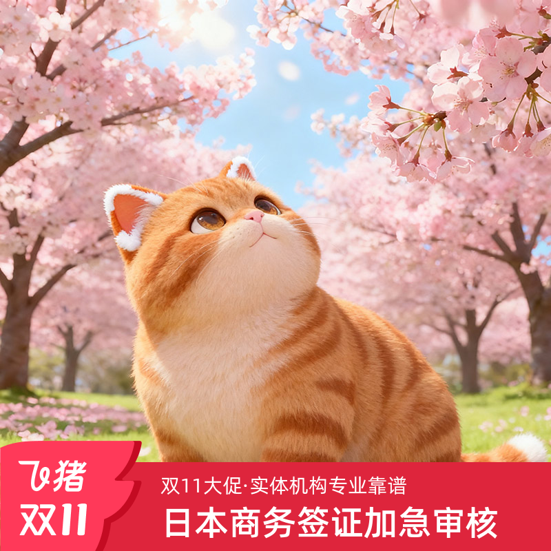 送签经验丰富 单次多次均可受理 东二环使馆区  周末可预约 火箭加急 金牌专员负责  在线电子审核材料 商务单次/多次/加急/在线审核