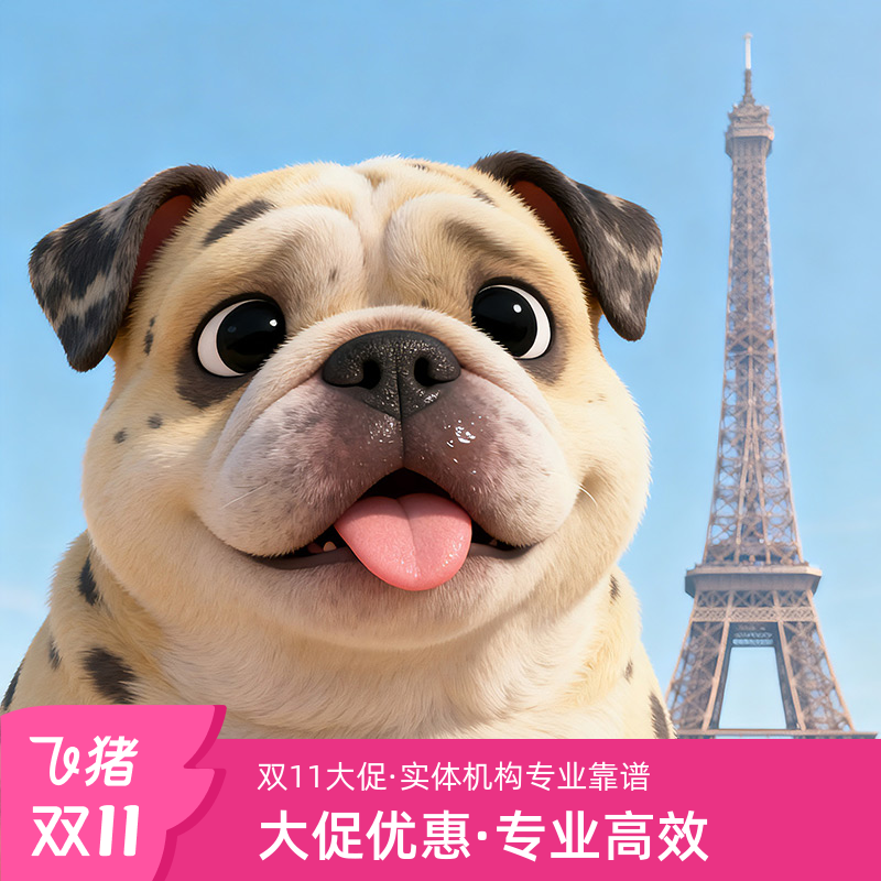 法国旅游签证北京送签