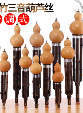葫芦丝专业演奏型乐器小F/小D/C/降b/A/G/大F/E/降E大D大C大降b调