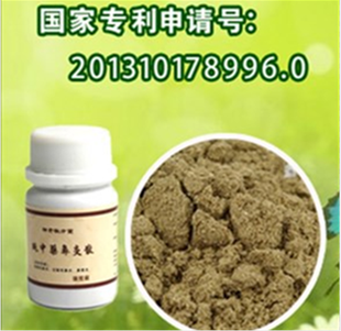 鼻炎粉 流鼻涕 鼻塞 鼻子顽症 对过敏 止痒 鼻窦