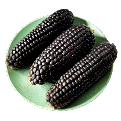 迷你小玉米仓鼠兔子龙猫豚鼠零食