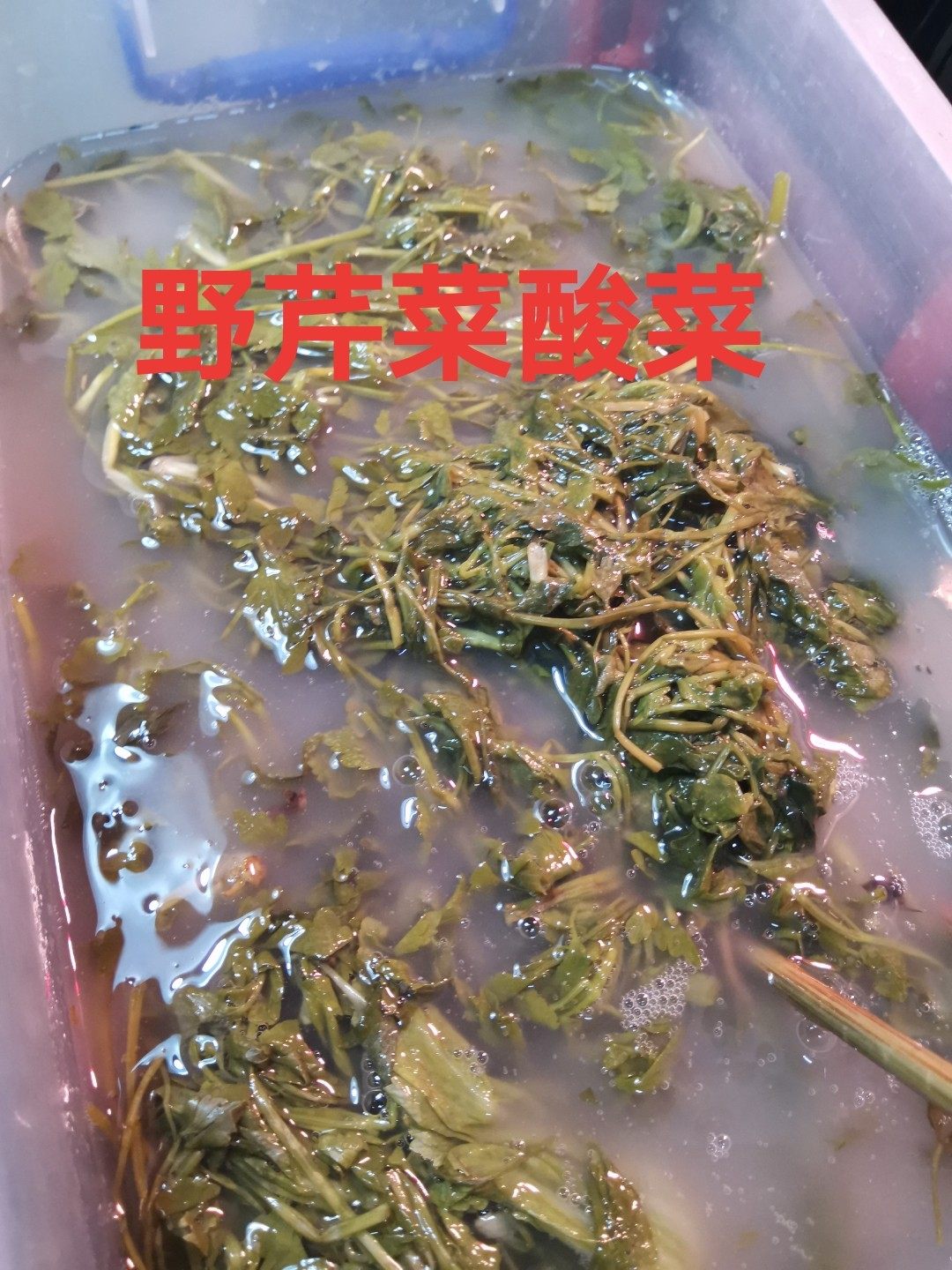 贵州毕节黔西特产酸菜鱼的酸菜正宗老坛农家无添加鲜野芹菜泡酸菜