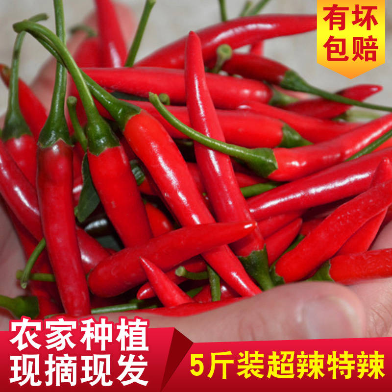 Sichuan Province Special spicy Pepper Pepper Red Hot Chili Peppers fresh Millet 5 Chongqing freshin the Agri rice/Dried foods/Condiment , Condiment/Jam/Salad , Seasoning , Chili seasoning category  category - from Buy2taobao.com to provide professional Taobao agent buy service