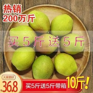新疆库尔勒香梨全母梨铁门关酥梨子玉露贡梨新鲜现季水果10斤