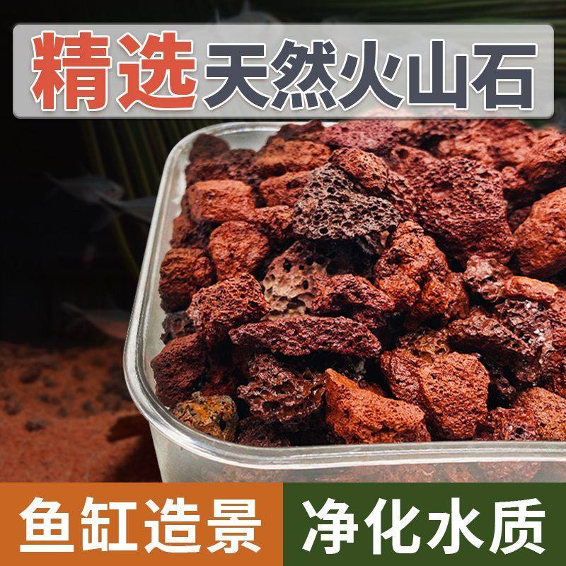 火山石鱼缸专用水族垫底砂生态造景大块火山岩颗粒古法养鱼过滤材,鲜花速递/花卉仿真/绿植园艺,家庭园艺肥料,淘宝优惠券,粉丝福利购,淘宝优惠卷