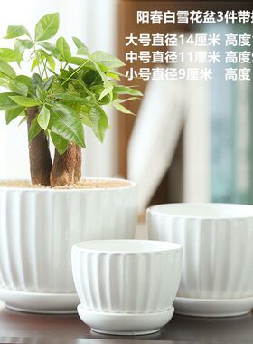 花盆陶瓷北欧轻奢白色简约家居带托盘绿萝吊兰多肉盆