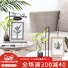Like a breath of fresh air originality personality woodiness 6 inch Photo frame Swing sets Room bedroom ornament Decoration Hydroponic plants vase