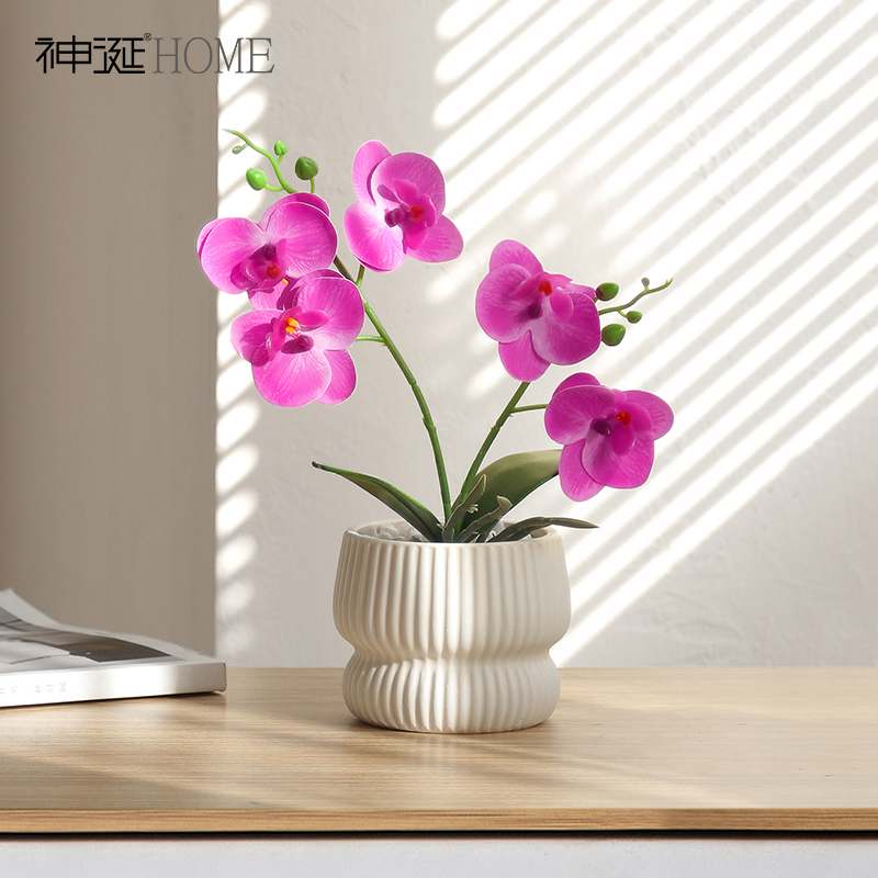 蝴蝶兰盆栽小摆件假花仿真花摆设高级感逼真花艺桌面装饰花永生花