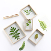 originality Two-sided Glass Botany specimen Leaf 578 10 Photo frame Swing sets personality diy Frame frame