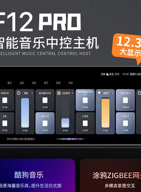 涂鸦智能F12寸Pro中控屏多功能开关语音面板背景音乐主机家居网关