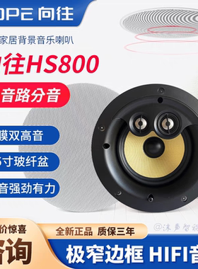 HS800家庭影院吸顶音响背景音乐家用客厅吊顶有线音箱嵌入式涂鸦
