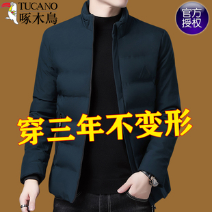 保暖中青年立领棉衣外套男装 冬季 轻薄上衣 短款 啄木鸟纯色棉服男士