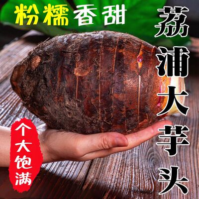 荔浦大芋头广西特产新鲜现挖粉糯大香芋农家直供餐饮商用批发蔬菜