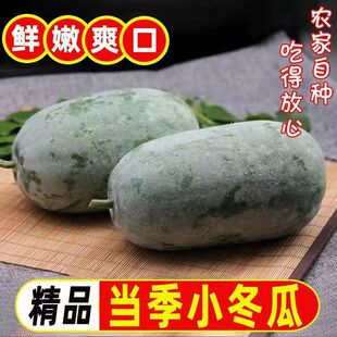 香冬瓜东瓜云南新鲜粉冬瓜农家高原青皮糯面当季小个冬瓜新鲜蔬菜