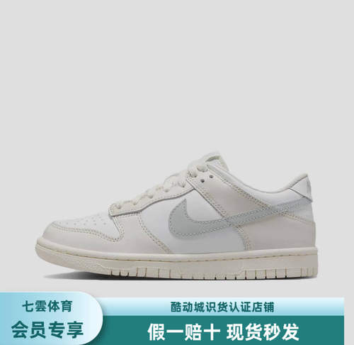 Nike Dunk 板鞋 经典复古百搭 GS/幻影灰白/浅银/白色 FB9109-109