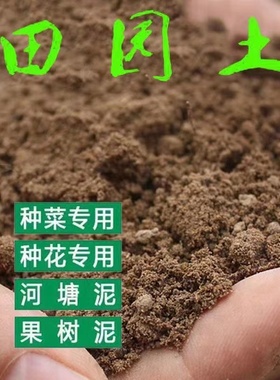 优质种菜田园土泥土种植土沙土种花专用土种树泥巴土壤普通黄泥巴