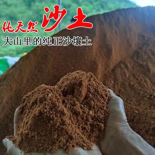 沙土养花沙壤土天然细沙黄沙土