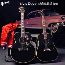 GIBSON吉普森猫王Elvis Dove纪念款美产原声全单电箱民谣木吉他