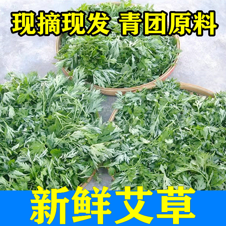当季新鲜现摘艾叶3斤青团