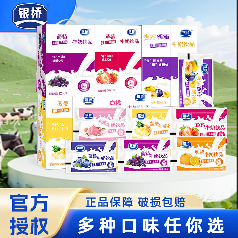 银桥酸奶葡萄味牛奶饮品草莓香橙调制乳（风味奶）