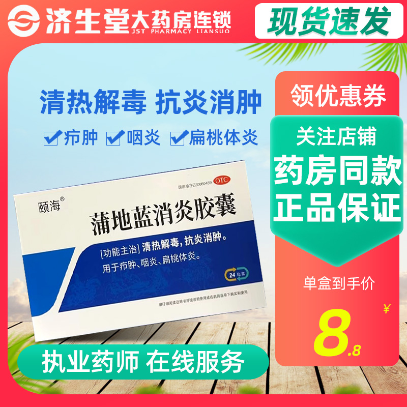 【EHAI/颐海】蒲地蓝消炎胶囊0.4g*24粒/盒