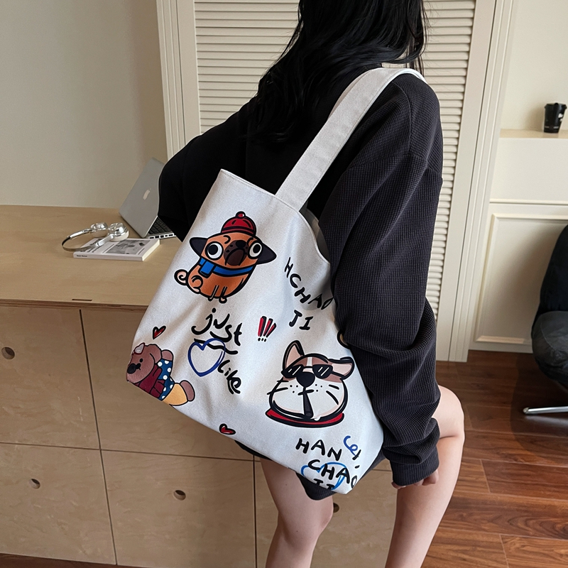 韩系小众轻便旅游帆布包