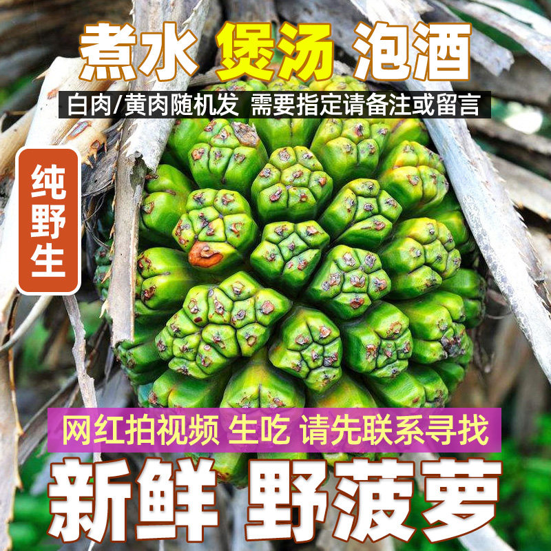 【纯野生】绿皮山野菠萝新鲜整果 露兜树中药材 煮水煲汤 消暑